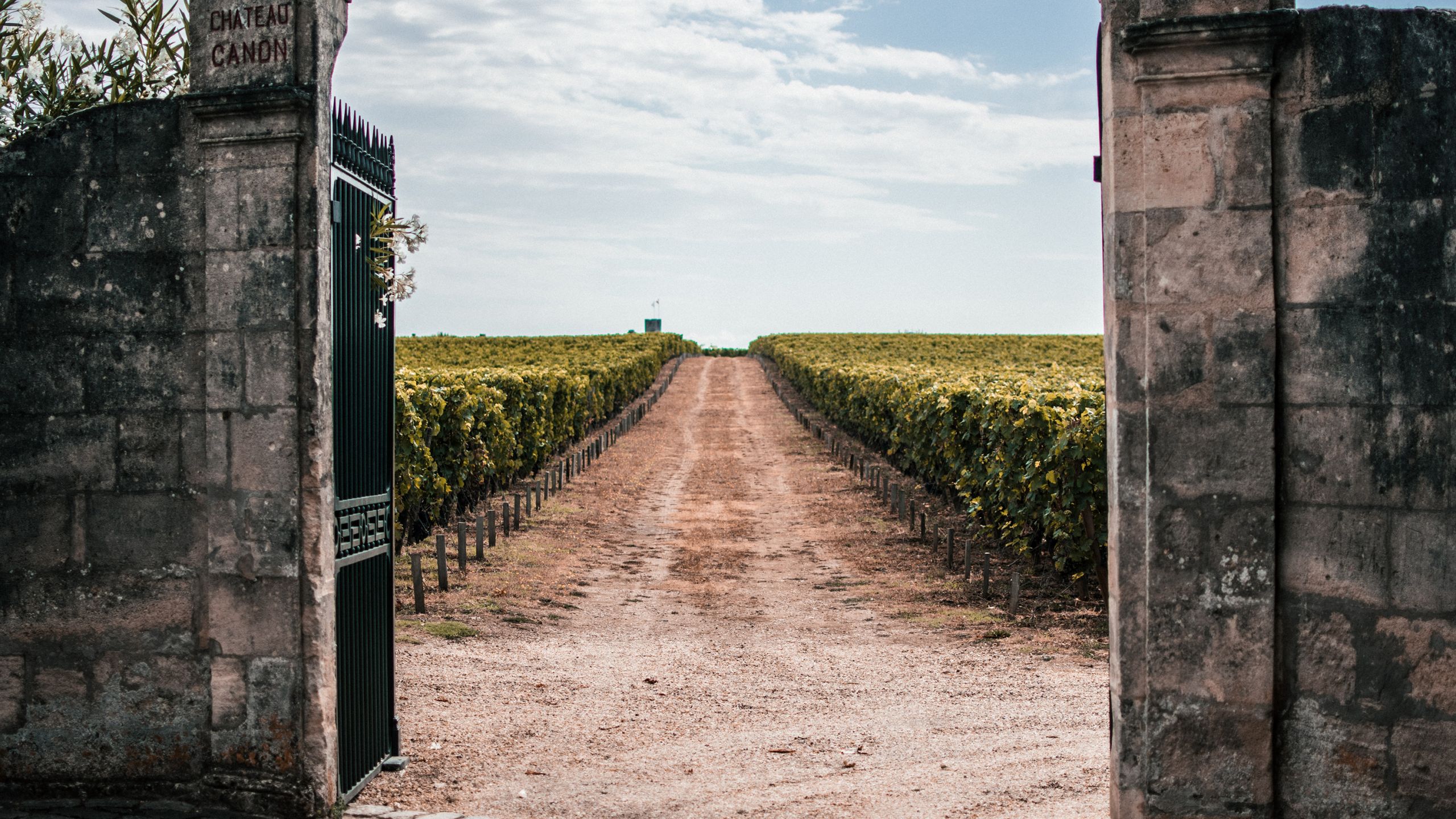 Saint-Emilion Wine Classification in Question After Châteaux Cheval Blanc  and Ausone Quit