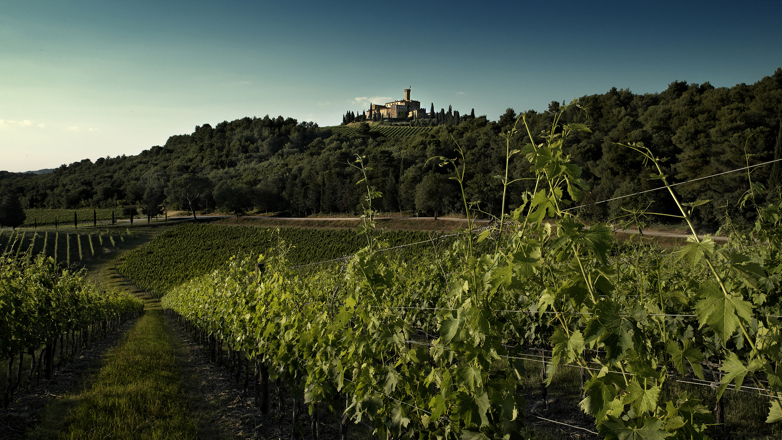 Castello Banfi - Pinot Grigo Tuscany