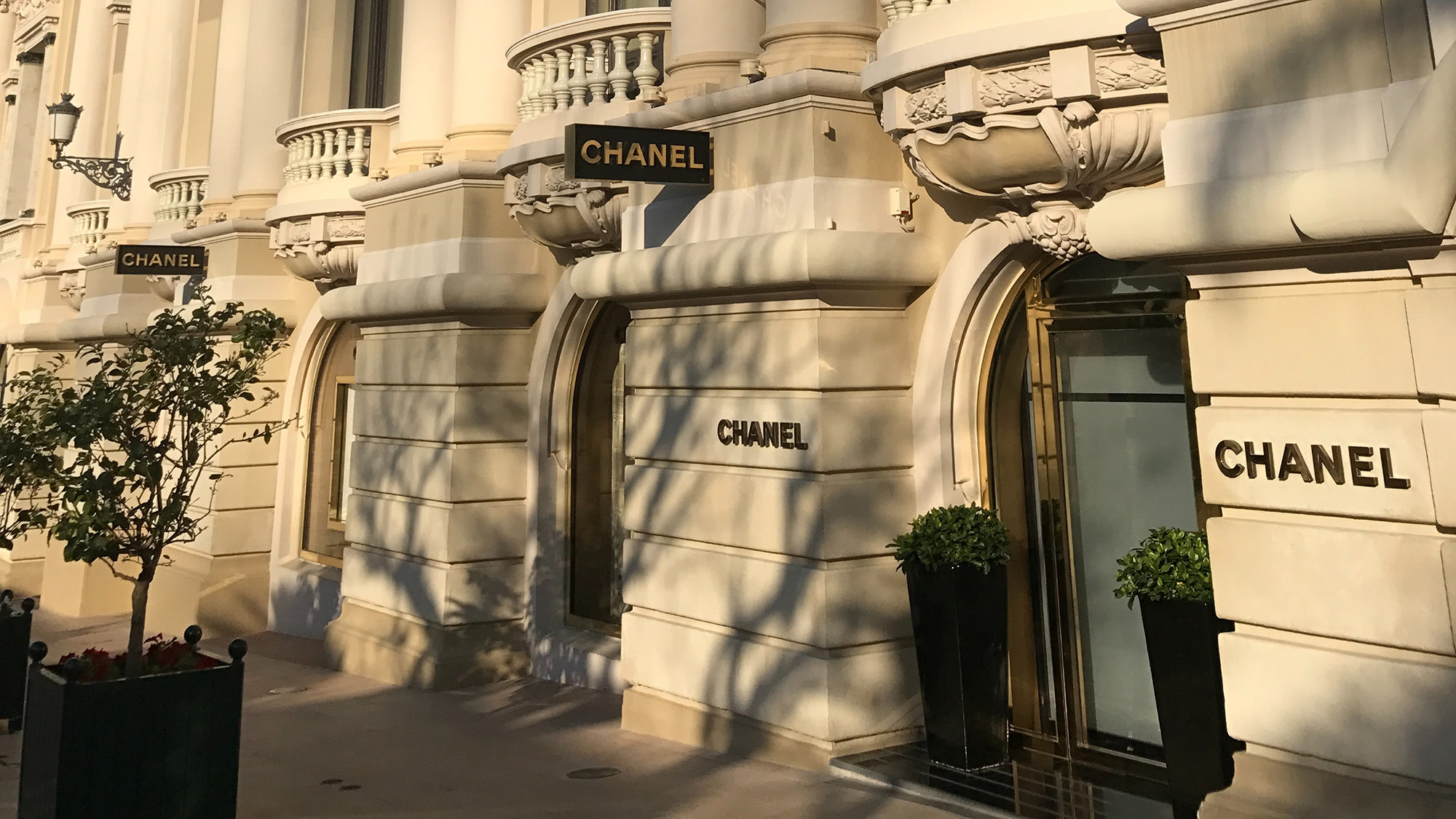Chanel's vineyards