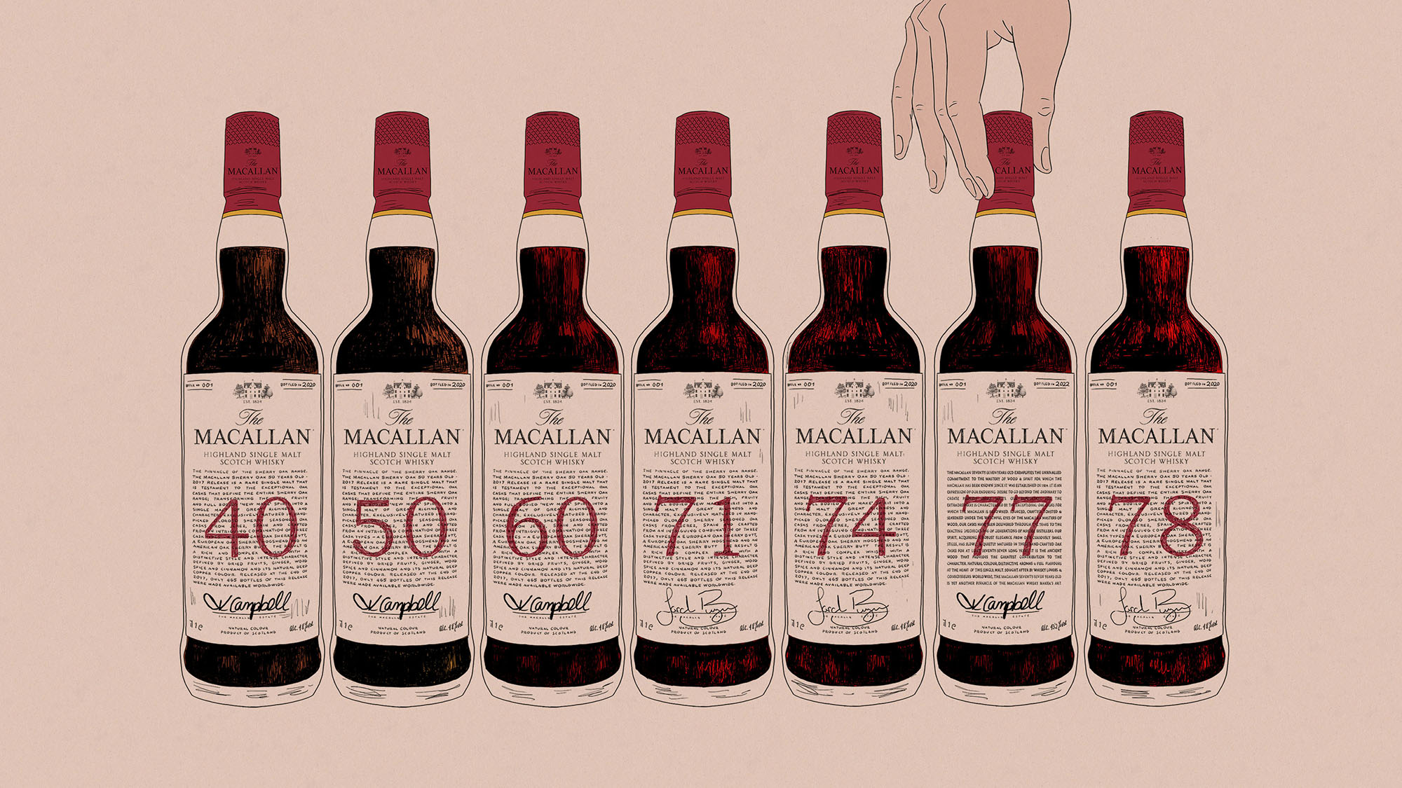 The Macallan Red Collection_Illustration_Landscape