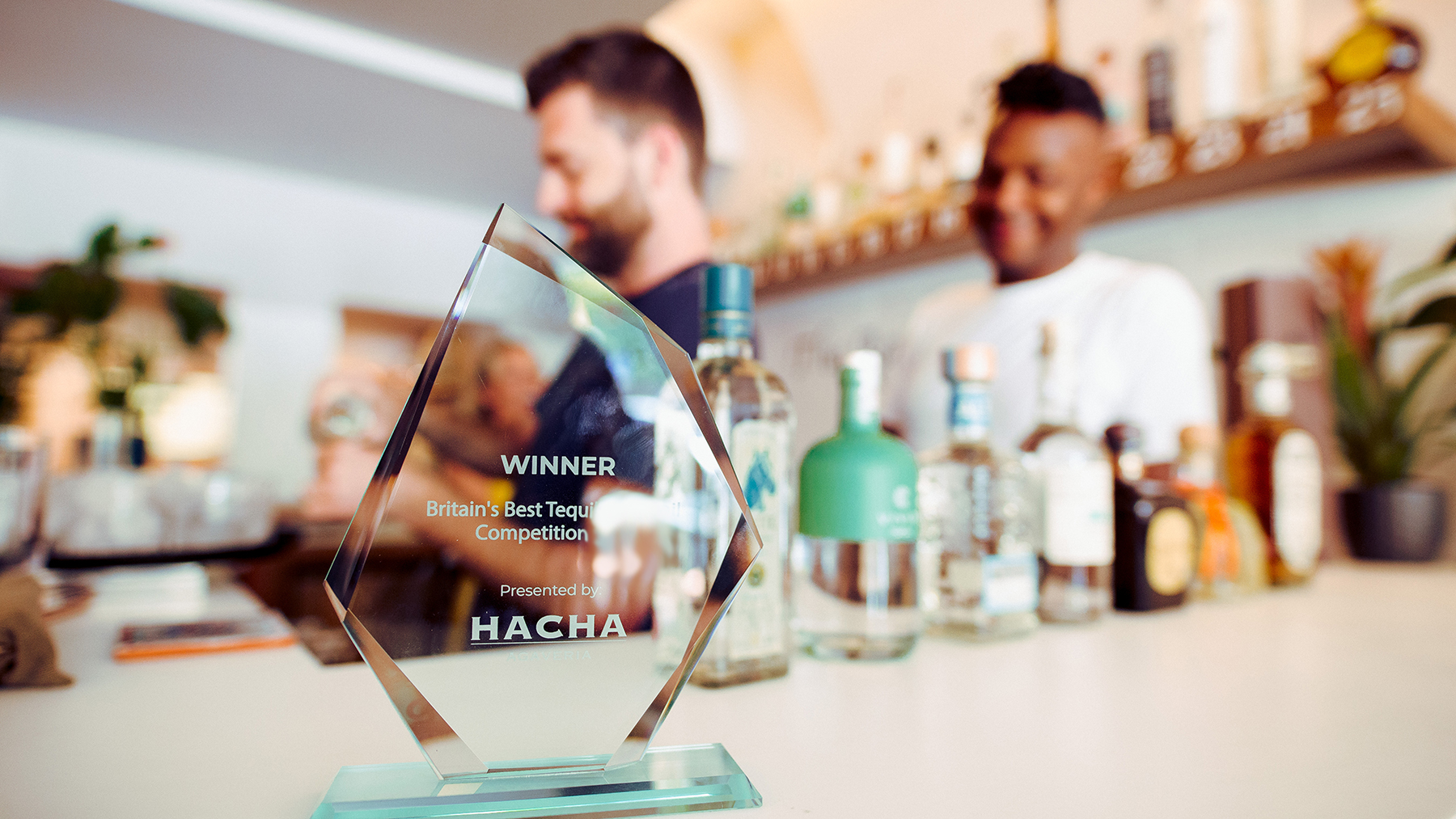 Britain’s Best Tequila And Mezcal Cocktails Are Now Available At Hacha